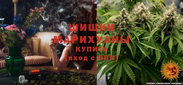 spice Беломорск