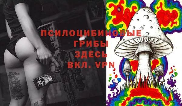 spice Беломорск