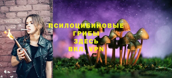 меф Белокуриха